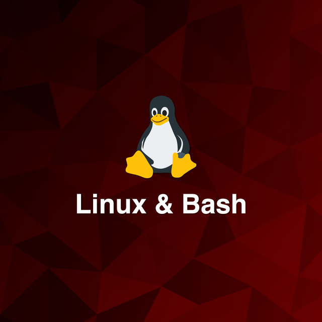 Formation Linux et Bash