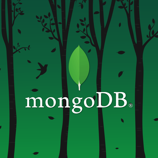 Formation MongoDB
